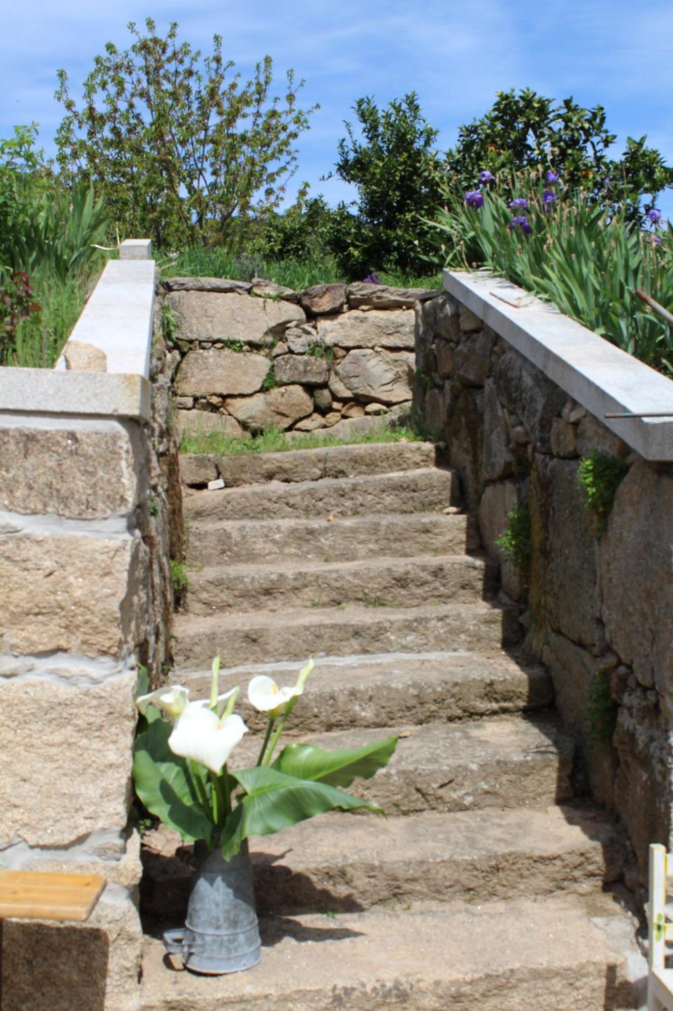 Casas Velhas Villa Santo Aleixo de Alem Tamega ภายนอก รูปภาพ